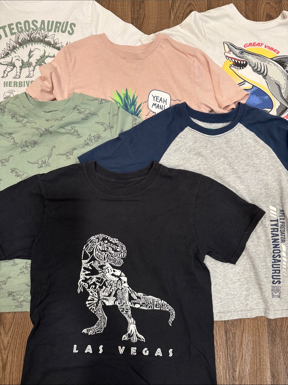 Boys Size 8 T-Shirt Bundle - Dinosaur Graphic Tee
